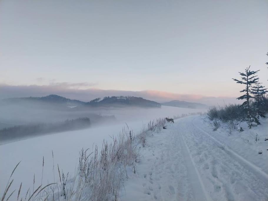 Haus Julia Direkt Am Hennesee Mitten Im Sauerland Meschede Dış mekan fotoğraf