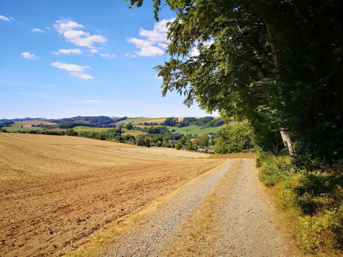 Haus Julia Direkt Am Hennesee Mitten Im Sauerland Meschede Dış mekan fotoğraf